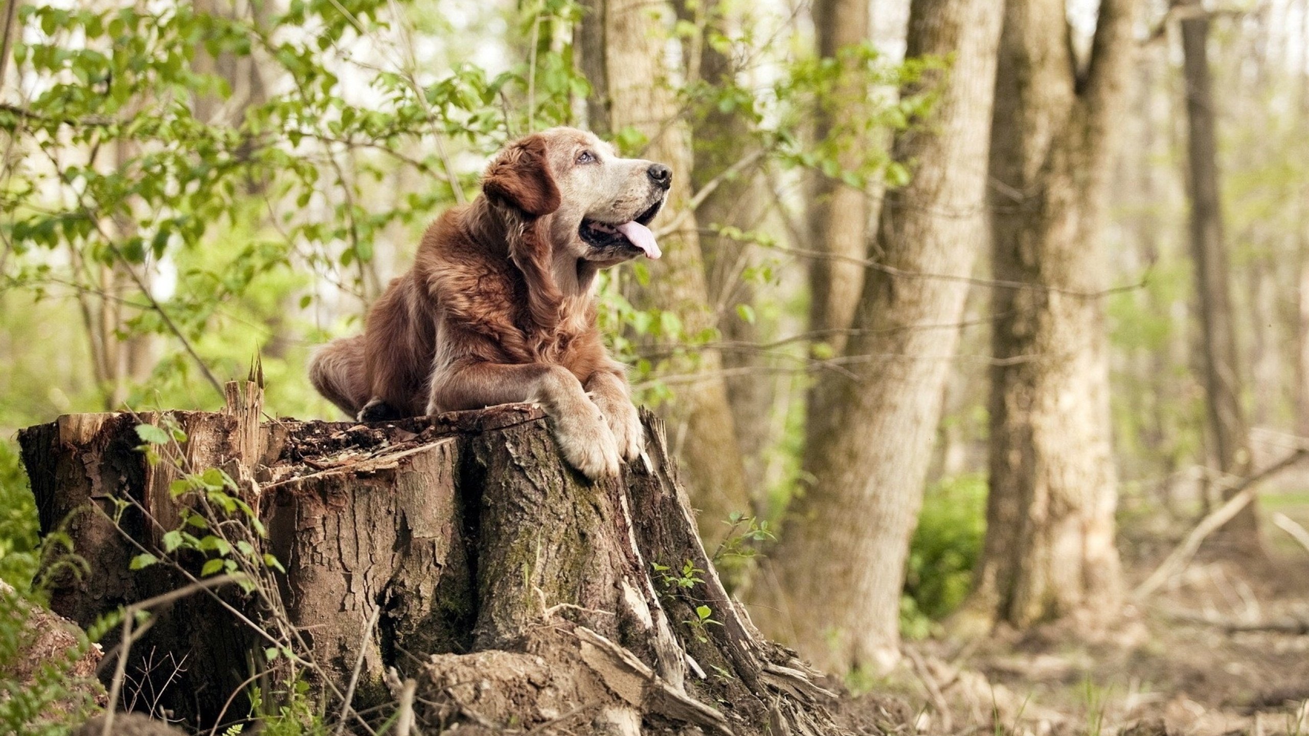 中国篮协推动青训基地建设规范化提升整体硬件水平，篮球青训中心怎么注册