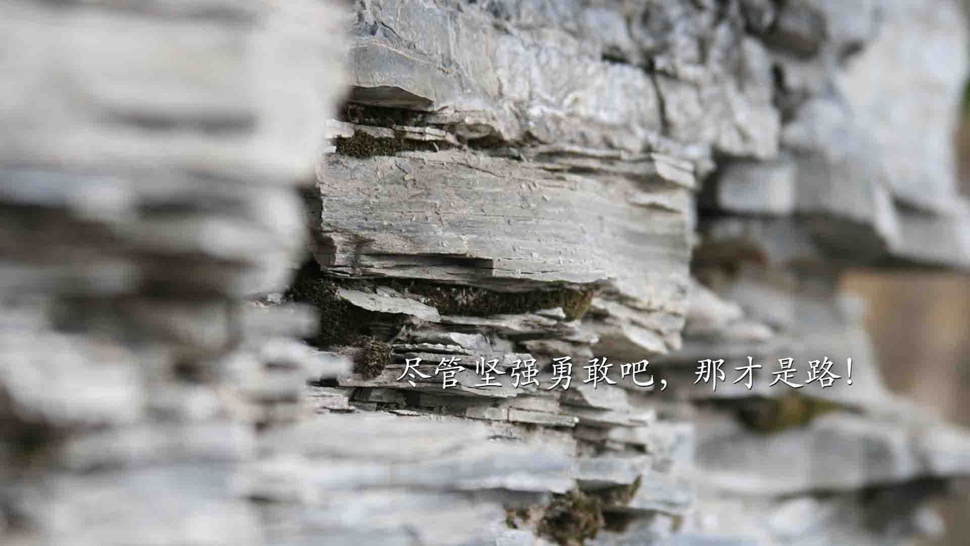 意甲裁判语义分析系统提升VAR判罚准确性的方法探讨，意甲裁判数据